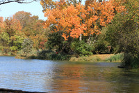Fall Foliage/Prospect Park, Brooklyn