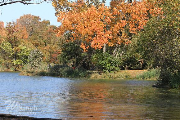 Fall Foliage/Prospect Park, Brooklyn