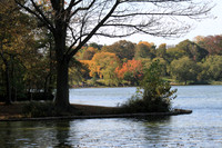Fall Foliage/Prospect Park, Brooklyn