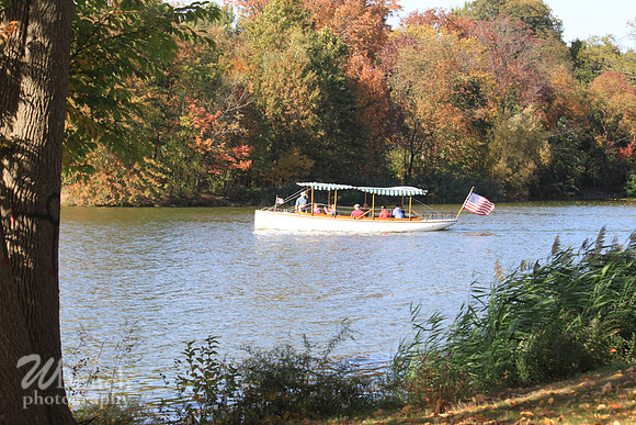 Fall Foliage/Prospect Park, Brooklyn