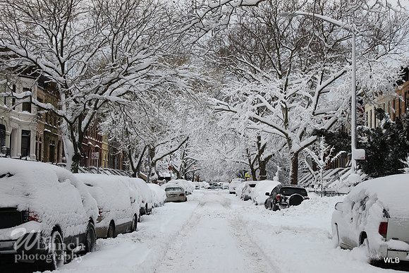 Macon Street, Bklyn. New York