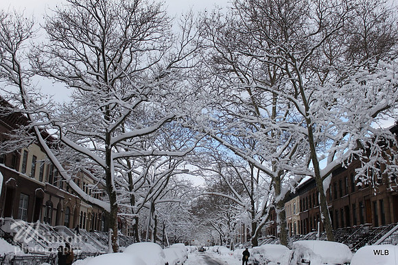 Macon & Howard Bklyn.,N.Y.