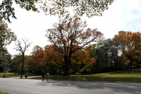 Prospect Park, Bklyn. N.Y.