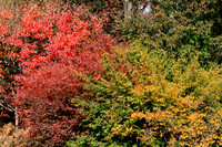 Prospect Park, Bklyn. N.Y.