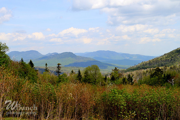 White Mountain National Forest