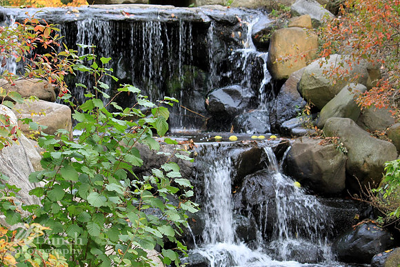 Prospect Park, Bklyn. N.Y.