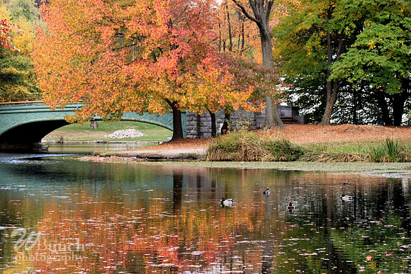 Prospect Park, Bklyn. N.Y.