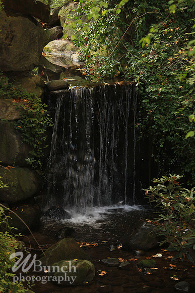 Fall Foliage/Prospect Park, Brooklyn