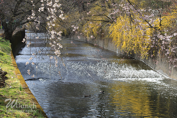 Branch Brook Park