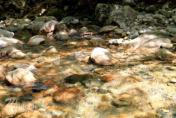 The White Mountains, New Hampshire - 05/15