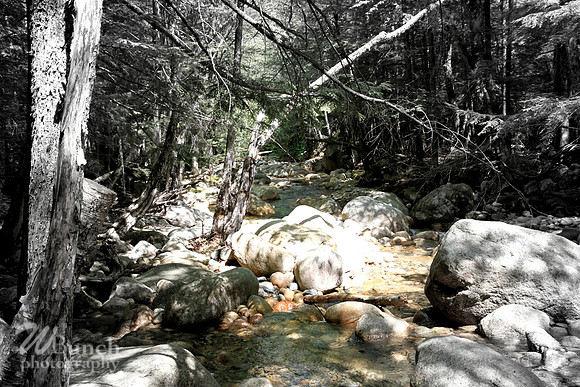 The White Mountains, New Hampshire - 05/15