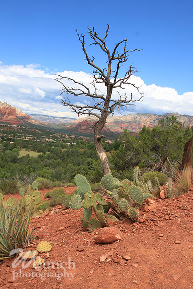Sedona, Az, Red Rock Mountains & J.W. Marriott Phoenix, Az.