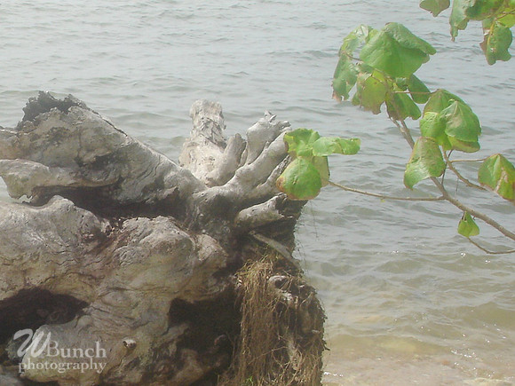 Punto Gordo, Belize