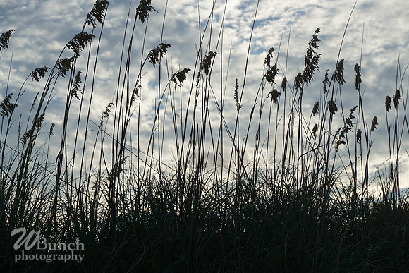 Carolina Beach, N.C. Sunset & Fireworks 07-19-18, WBunchphotography (110)