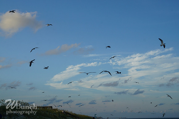 Carolina Beach, N.C. Sunset & Fireworks 07-19-18, WBunchphotography (69)