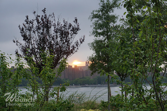 Domino Park 8-11-18 WBunchphotography (244)