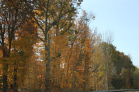 NYS Thurway North