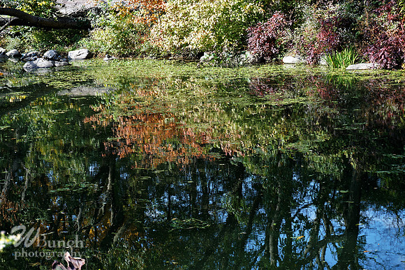 Prospect Park 2 , 11-01-18, WBunchphotography.com (16)