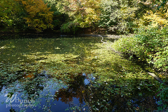 Prospect Park 2 , 11-01-18, WBunchphotography.com (16)