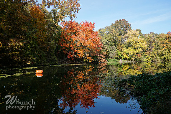 Prospect Park 2 , 11-01-18, WBunchphotoghraphy (56)