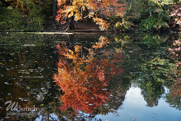 Prospect Park 2 , 11-01-18, WBunchphotography.com (60)