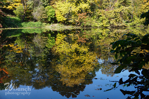 Prospect Park 2 , 11-01-18, WBunchphotography.com(62)