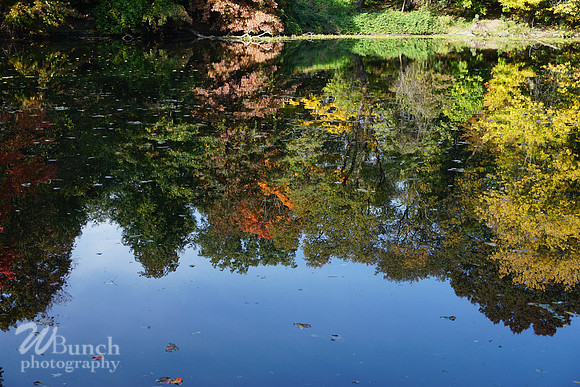 Prospect Park 2 , 11-01-18, WBunchphotography.com (63)