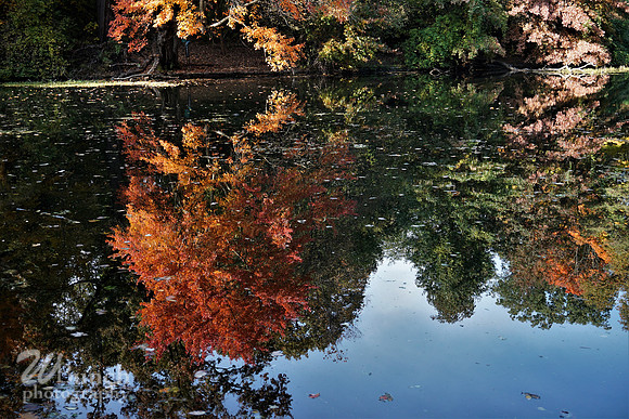 Prospect Park 2 , 11-01-18, WBunchphotography.com (63)