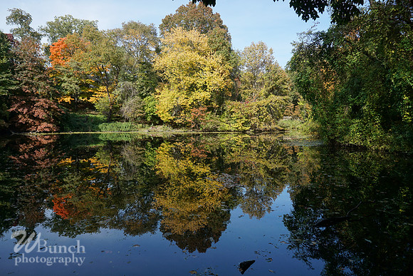 Prospect Park 2 , 11-01-18, WBunchphotohraphy (68)