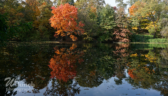 Prospect Park 2 , 11-01-18, WBunchphotography.com (63)