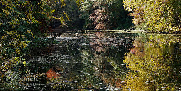 Prospect Park 2 , 11-01-18, WBunchphotography.com (63)