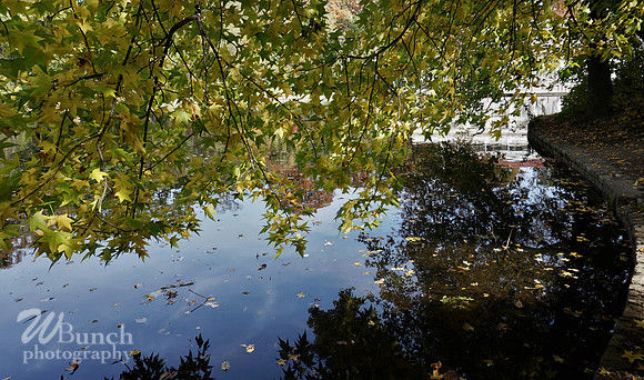 Prospect Park 2 , 11-01-18, WBunchphotography.com (63)