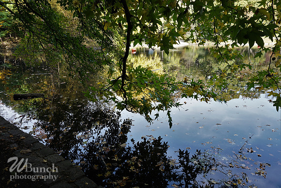 Prospect Park 2 , 11-01-18, WBunchphotography.com (63)