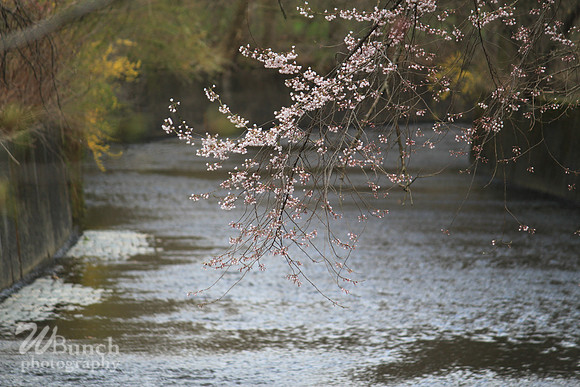 Branch Brook Park