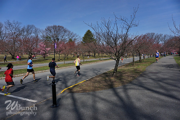 Branch Brook Park , Cherry Blossom &  10K Run 04-07-19 - WBunchphotography (110)