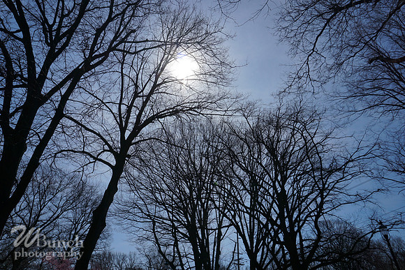 Branch Brook Park , Cherry Blossom &  10K Run 04-07-19 - WBunchphotography (151)