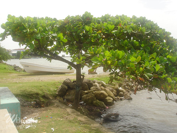 Punto Gordo, Belize