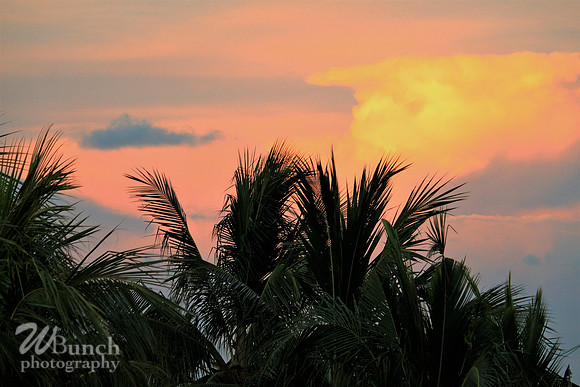 Bahia Honda State Park, Key West - 07-03-19 - WBunchphotography (83)
