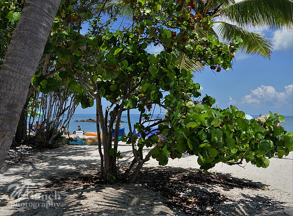Key West Floridia 07-01-19 , A full day - WBunchphotography (313)