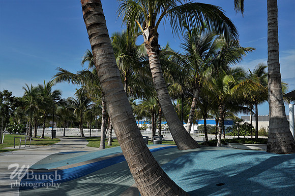 Key West Photo Shoot 07-04-19, WBunchphotography (38)