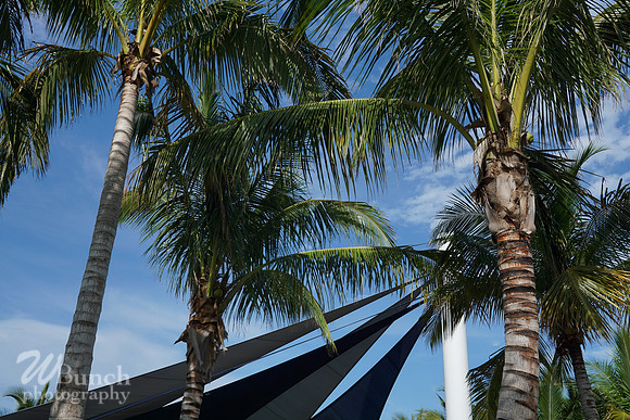 Key West Photo Shoot 07-04-19, WBunchphotography (40)