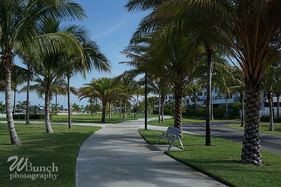 Key West Photo Shoot 07-04-19, WBunchphotography (98)