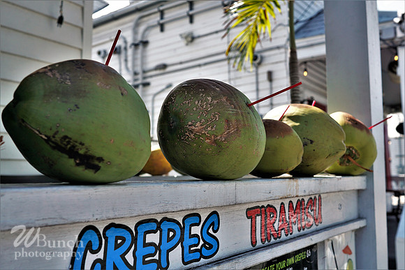 Key West Photo Shoot 07-04-19, WBunchphotography (121)