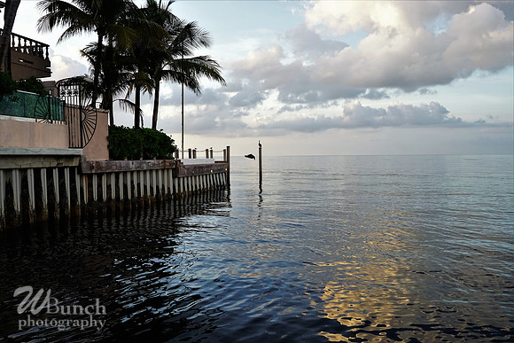 Key West Floridia 07-01-19 , A full day - WBunchphotography (22)