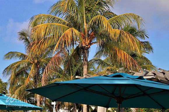 Hyatt Residence Club & Fort Zachary Taylor Beach 07-02-19, WBunchphotography (13)