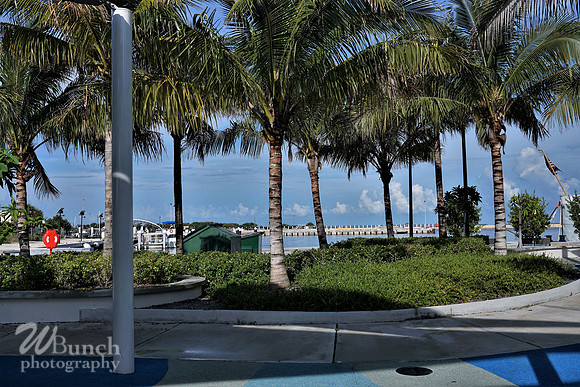 Key West Photo Shoot 07-04-19, WBunchphotography (28)