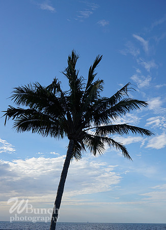 Vacation Hyatt Residence Club, Windwood Pointe, Key West Fl. 06-30-19- WBunchphotograohy (68)