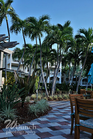 Vacation Hyatt Residence Club, Windwood Pointe, Key West Fl. 06-30-19- WBunchphotograohy (103)