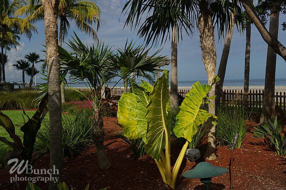 Vacation Hyatt Residence Club, Windwood Pointe, Key West Fl. 06-30-19- WBunchphotograohy (278)