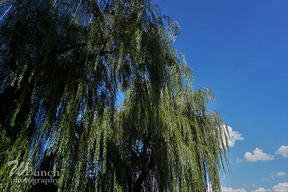 Harborside Waterfront, Jersey City, 08-30-19 by WBunchphotography (212)